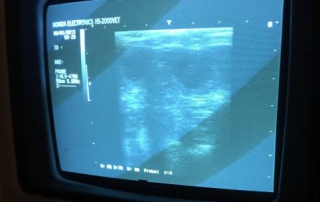 Rosa scanning 16. januar 2015